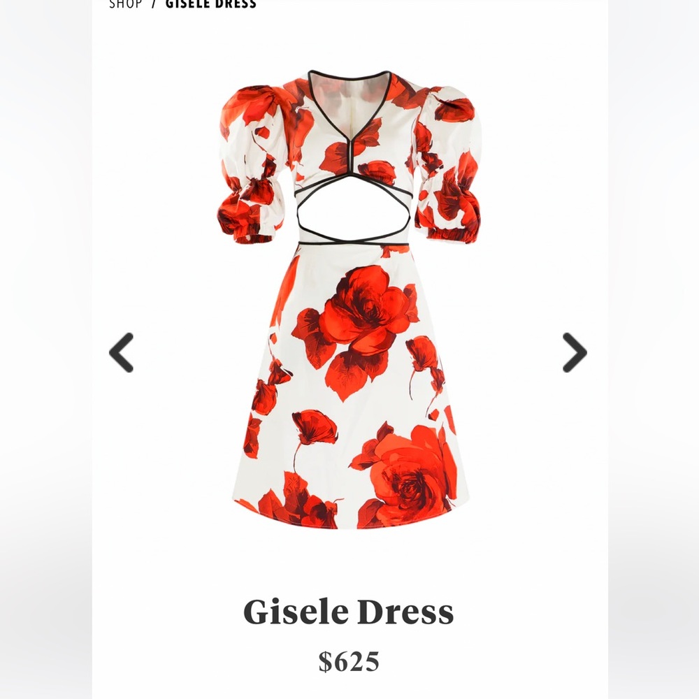 NWT🆕#149-AUTUMN ADEIGBO, Gisele Dress, cutouts and red floral blossoms, Size 12